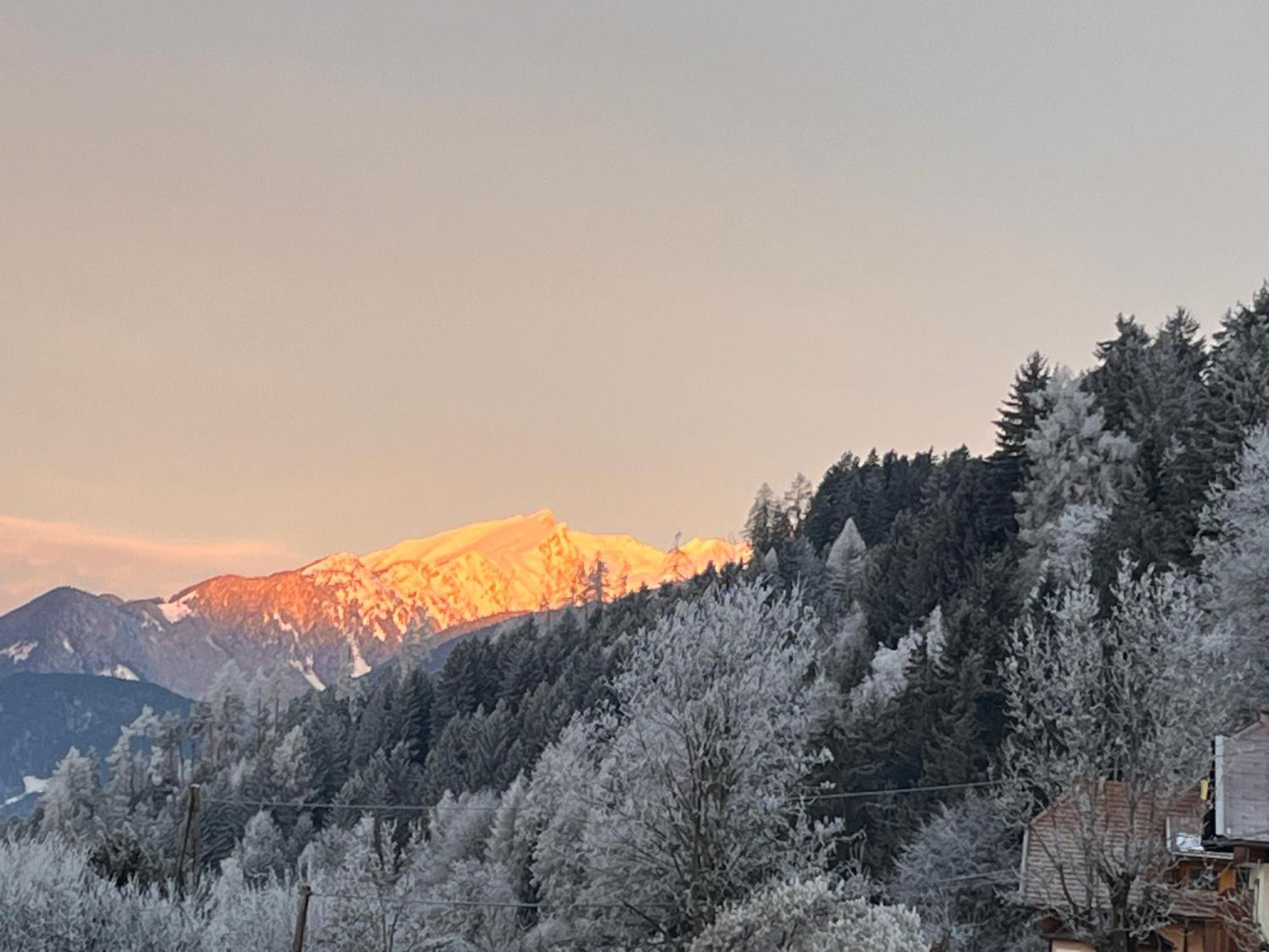 Fewo Loewenherz Зеебоден Экстерьер фото